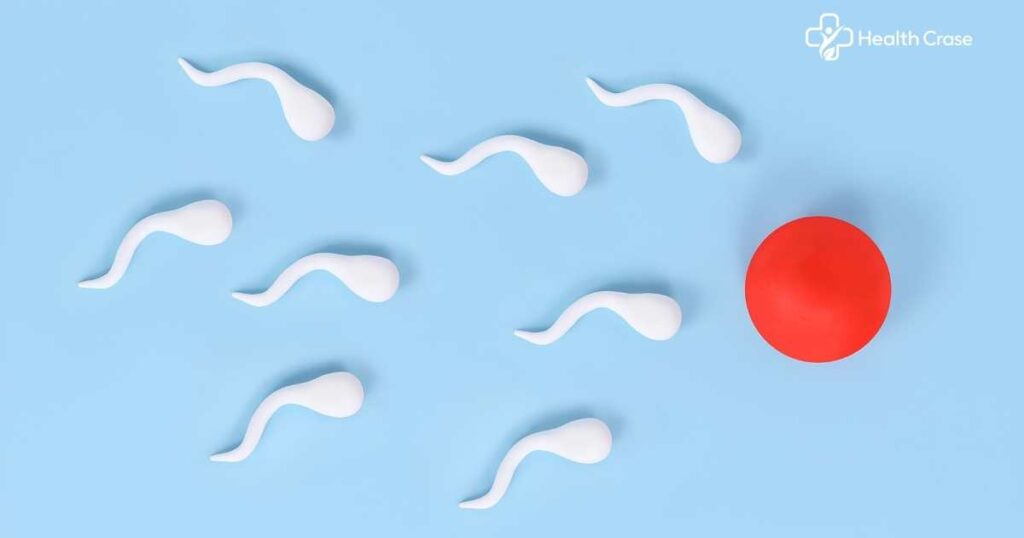 How Safe is it to Swallow Semen?